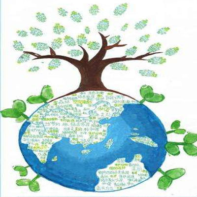 随着网络应用的丰富和发展