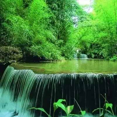 其次功能完整满足各门道把关人应用所需