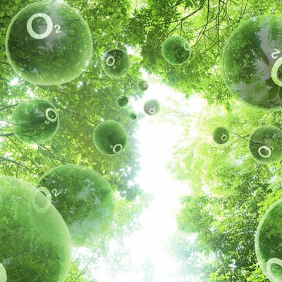 此外保障网站架构的安全性也是用户关注的焦点